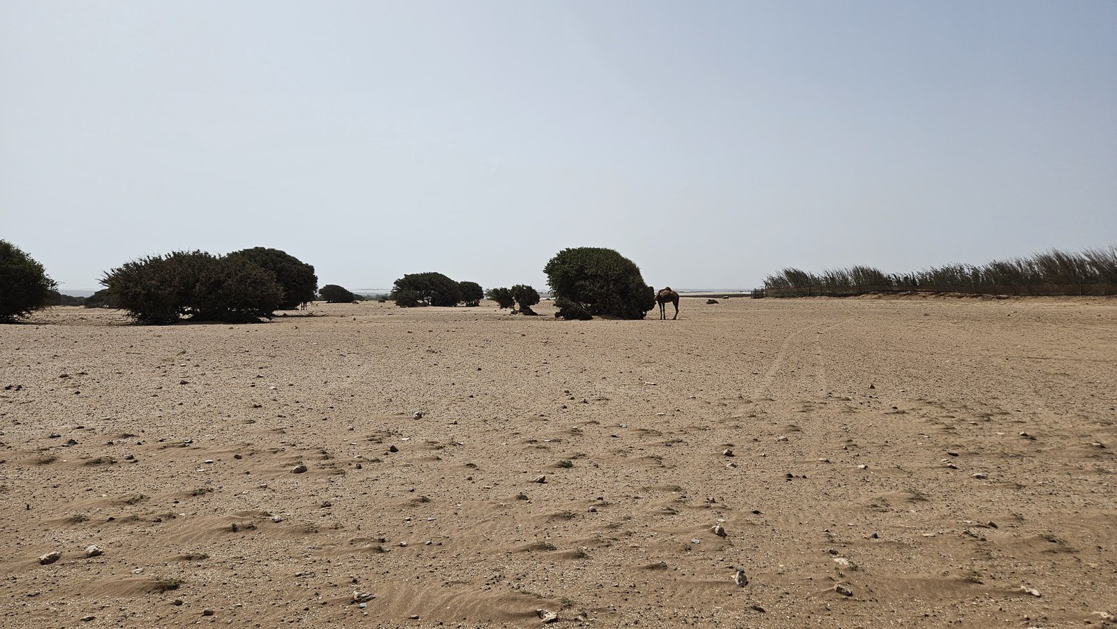 Buggy Désert 4 Places Agadir - Buggy 4 Places sur les Pistes Désertiques d'Agadir
