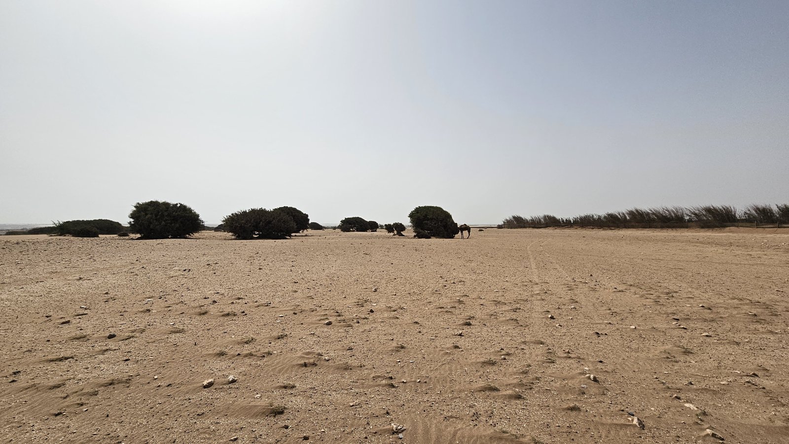 Buggy Désert 4 Places Agadir - Aventure en Buggy 4 Places dans le Désert d'Agadir
