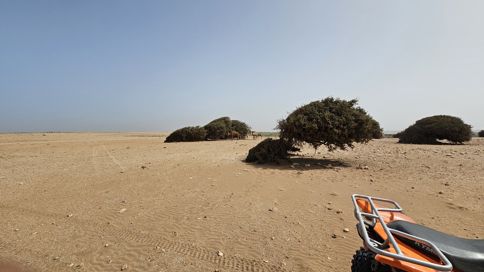 Buggy Désert 4 Places Agadir - Buggy 4 Places sur les Dunes Dorées avec Vue Panoramique