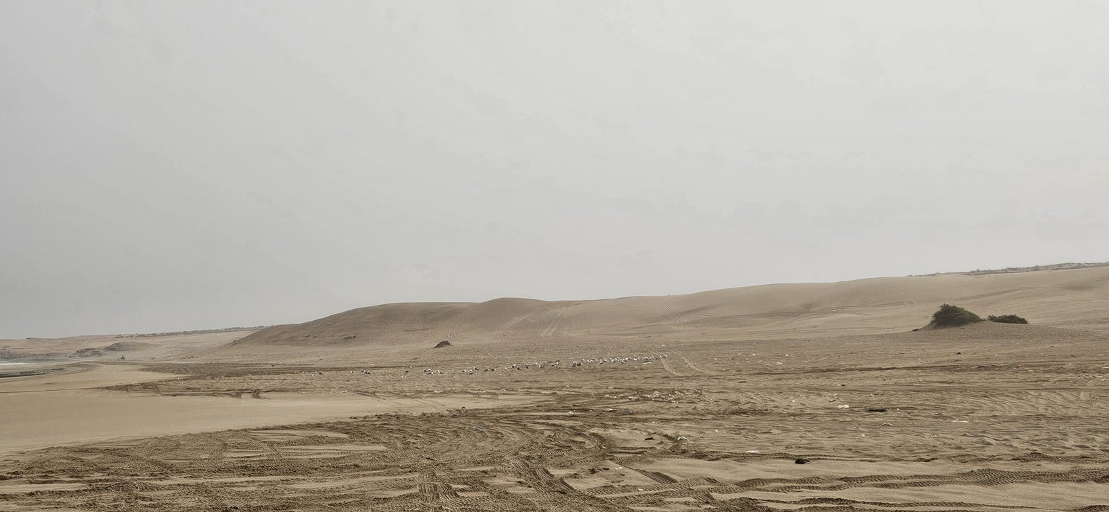 Private Beach Buggy Safari in Agadir Morocco
