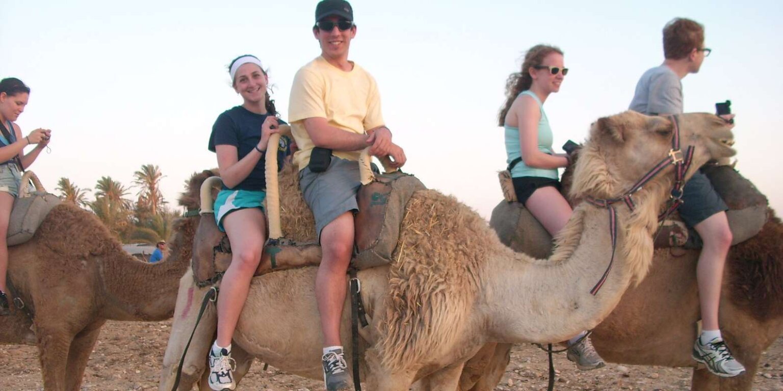 Balade à dos de dromadaire à Agadir - Coucher de soleil