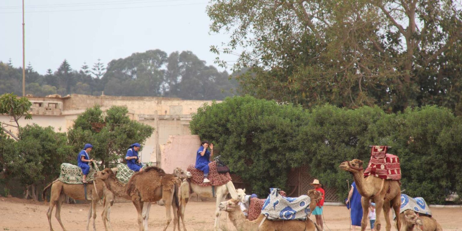 Balade à dos de dromadaire à Agadir - Moment inoubliable